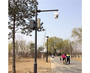 吴忠路灯监控杆-LB-03